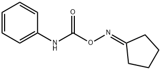 SALOR-INT L448826-1EA