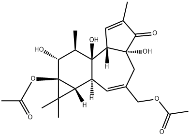 PHORBOL 13,20-DIACETATE Structural