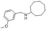 N-CYCLO-OCTHYL-M-METHOXYBENZYLAMINE