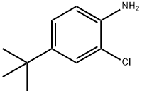 4-(TERT-BUTYL)-2-CHLOROANILINE