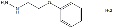 1-(2-phenoxyethyl)hydrazine Structural