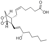 PROSTAGLANDIN H2