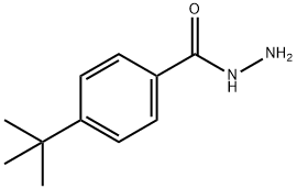 4-tert-Butylbenzhydrazide Structural