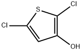 Thiophene-3-ol,  2,5-dichloro- Structural