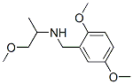 (2,5-DIMETHOXY-BENZYL)-(2-METHOXY-1-METHYL-ETHYL)-AMINE