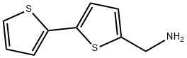 2,2'-BITHIOPHENE-5-METHYLAMINE