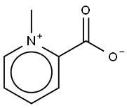 homarine Structural