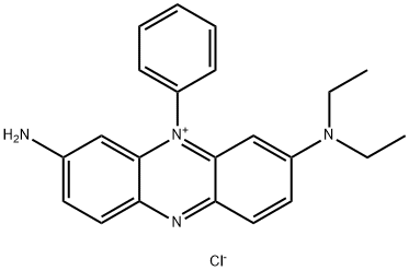 CI 50206 Structural