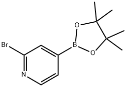 2-BROMO-4-(4,4,5,5-TETRAMETHYL-[1,3,2]DIOXABOROLAN-2-YL)-PYRIDINE Structural