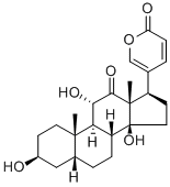 arenobufagin Structural Picture