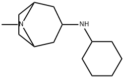 N-cyclohexyl-8-methyl-8-azabicyclo[3.2.1]octan-3-amine