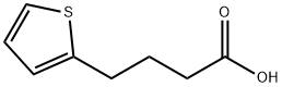 4-(2-THIENYL)BUTYRIC ACID