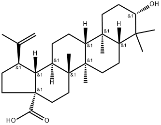 Betulinic acid  Structural Picture