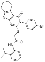 SALOR-INT L225851-1EA