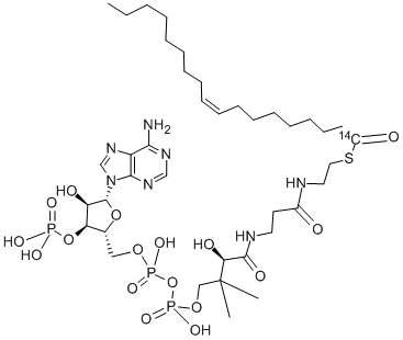 OLEOYL COENZYME A, [OLEOYL-1-14C]- Structural