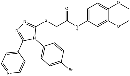 SALOR-INT L243175-1EA