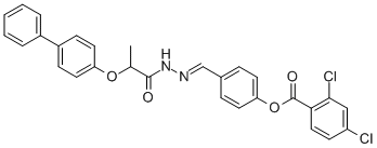 SALOR-INT L234117-1EA Structural