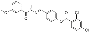 SALOR-INT L234168-1EA