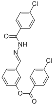 SALOR-INT L234443-1EA