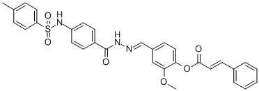 SALOR-INT L234532-1EA