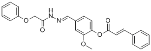 SALOR-INT L234818-1EA