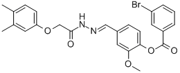 SALOR-INT L235156-1EA Structural