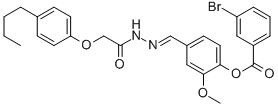 SALOR-INT L235202-1EA