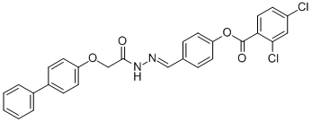 SALOR-INT L235563-1EA Structural