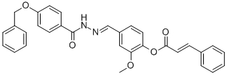 SALOR-INT L235814-1EA