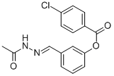 SALOR-INT L236071-1EA