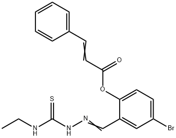 SALOR-INT L237019-1EA Structural