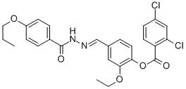 SALOR-INT L238236-1EA