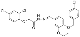 SALOR-INT L461466-1EA