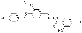 SALOR-INT L389749-1EA Structural