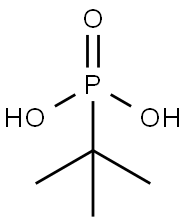 TERT-BUTYLPHOSPHONIC ACID Structural