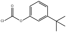 m-tert-butylphenyl chloroformate         