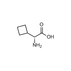 D-Cyclobutylglycine Structural