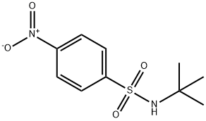 N-tert-Butyl 4-Nitrophenylsulfonamide Structural