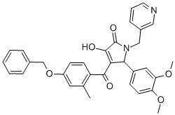 SALOR-INT L436275-1EA