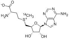 S-ADENOSYL-L-METHIONINE, [METHYL-14C]