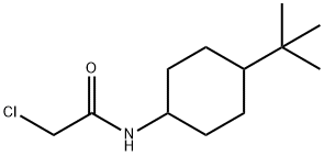 CHEMBRDG-BB 9070593 Structural