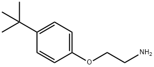 2-(4-TERT-BUTYLPHENOXY)ETHANAMINE HYDROCHLORIDE