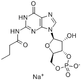 N2-MONOBUTYRYLGUANOSINE 3':5'-CYCLIC MONOPHOSPHATE SODIUM SALT