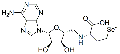 adenosylselenomethionine Structural