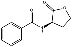 N-(2-OXOTETRAHYDROFURAN-3-YL)BENZAMIDE