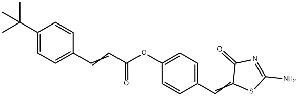 SALOR-INT L470589-1EA