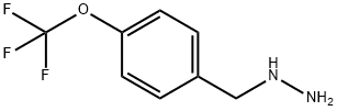 4-TRIFLUOROMETHOXY-BENZYL-HYDRAZINE