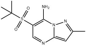 6-(TERT-BUTYLSULFONYL)-2-METHYLPYRAZOLO[1,5-A]PYRIMIDIN-7-AMINE