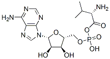 valyl adenylate Structural