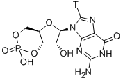 GUANOSINE 3',5'-CYCLIC PHOSPHATE, [GUANOSINE 8-3H]